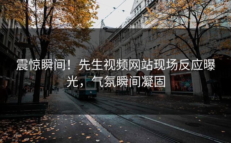 震惊瞬间！先生视频网站现场反应曝光，气氛瞬间凝固