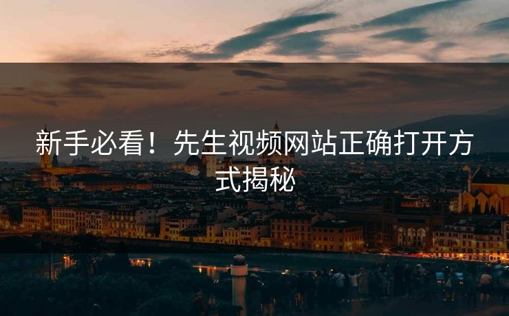 新手必看！先生视频网站正确打开方式揭秘