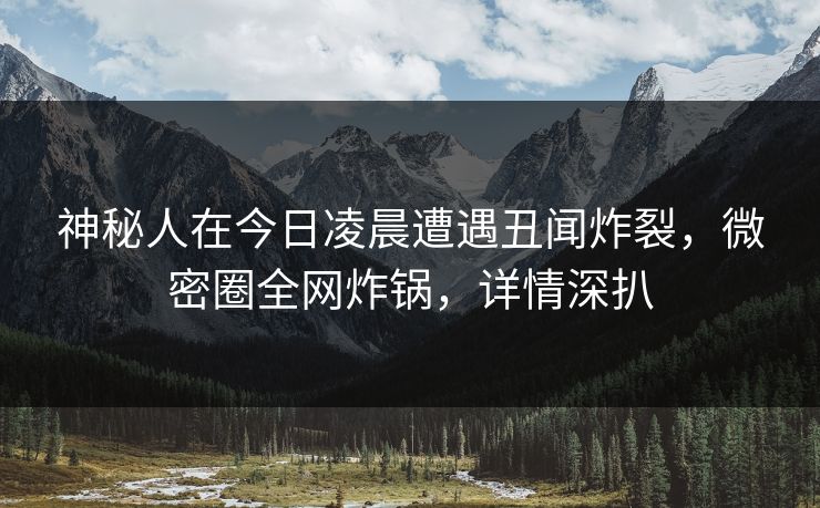 神秘人在今日凌晨遭遇丑闻炸裂，微密圈全网炸锅，详情深扒