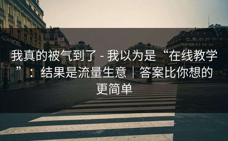 我真的被气到了 - 我以为是“在线教学”：结果是流量生意｜答案比你想的更简单