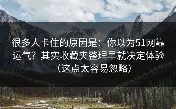 很多人卡住的原因是：你以为51网靠运气？其实收藏夹整理早就决定体验（这点太容易忽略）